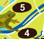 Close-up of part of the trail map, showing a frog illustration
