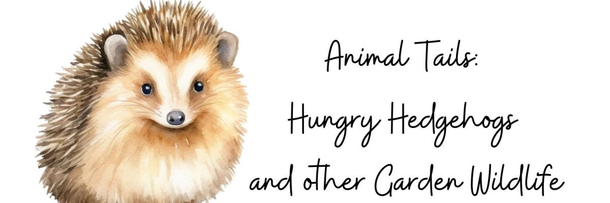 Hedgehog illustration Hedgehog illustration