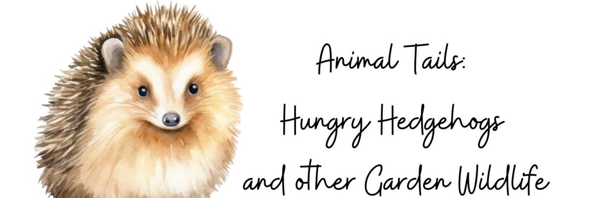 Hedgehog illustration Hedgehog illustration