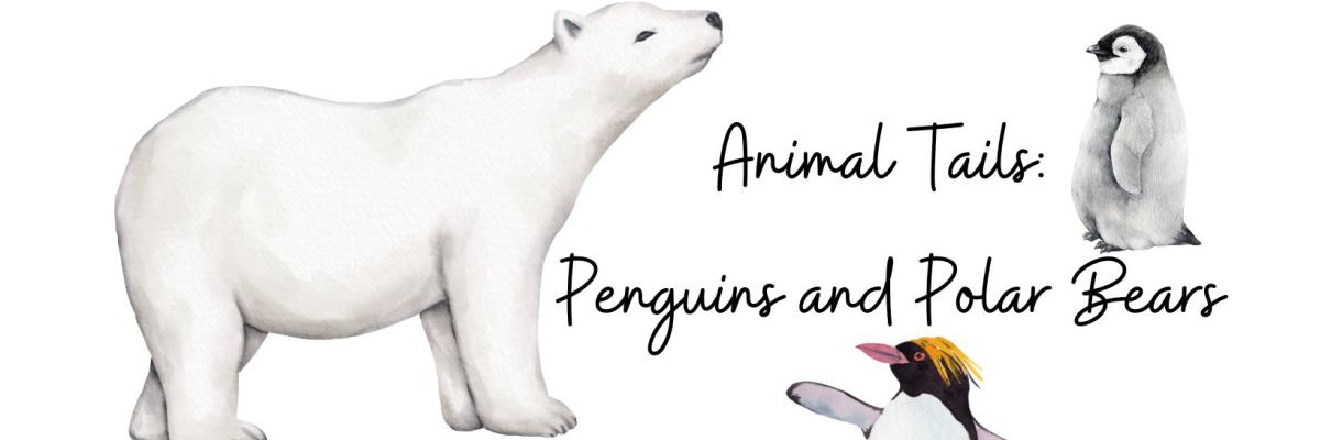 Penguins and Polar Bears illustration of penguin and polar bear