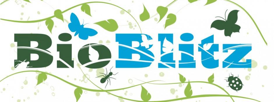 BioBlitz logo BioBlitz logo