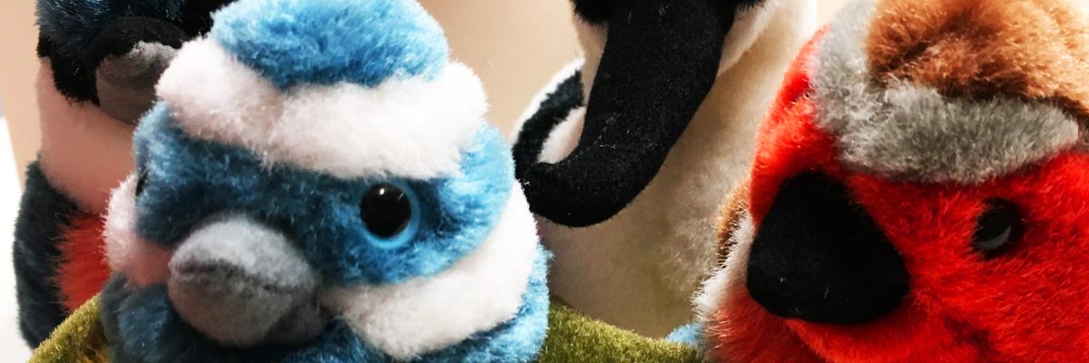 Bird Toys