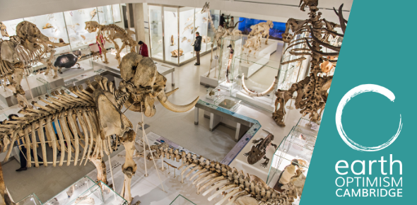 Museum of Zoology, Cambridge Museum gallery