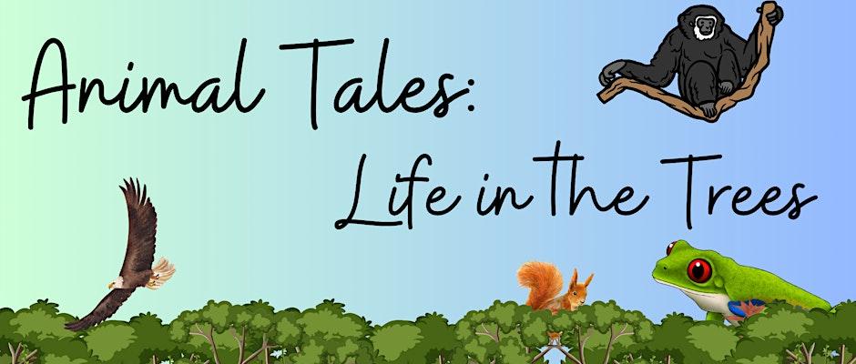 Life in the trees illustration Trees illustration