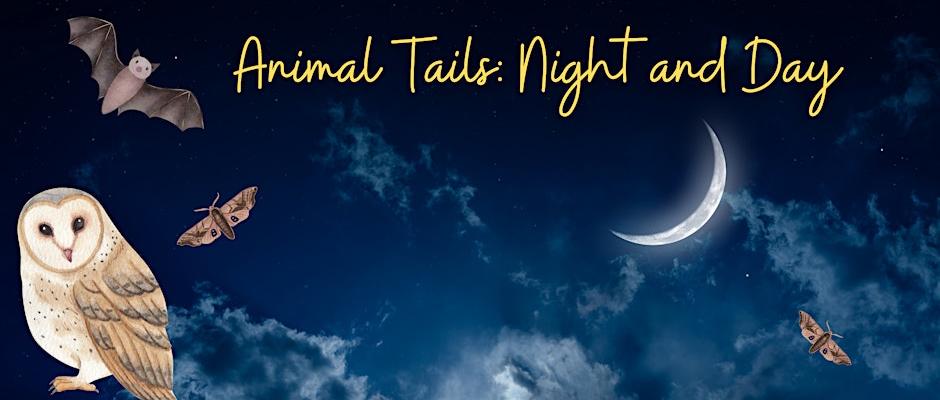 Animals in the night sky Image of owl, moon and bats at night