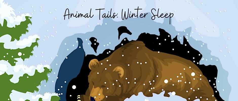 Bear hibernating in the snow illustration
