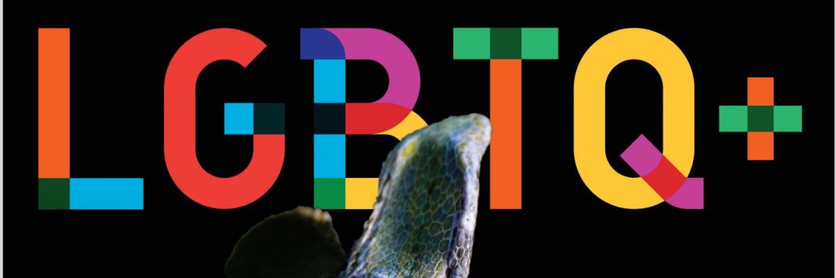 LGBTQ+ banner LGBTQ+ banner