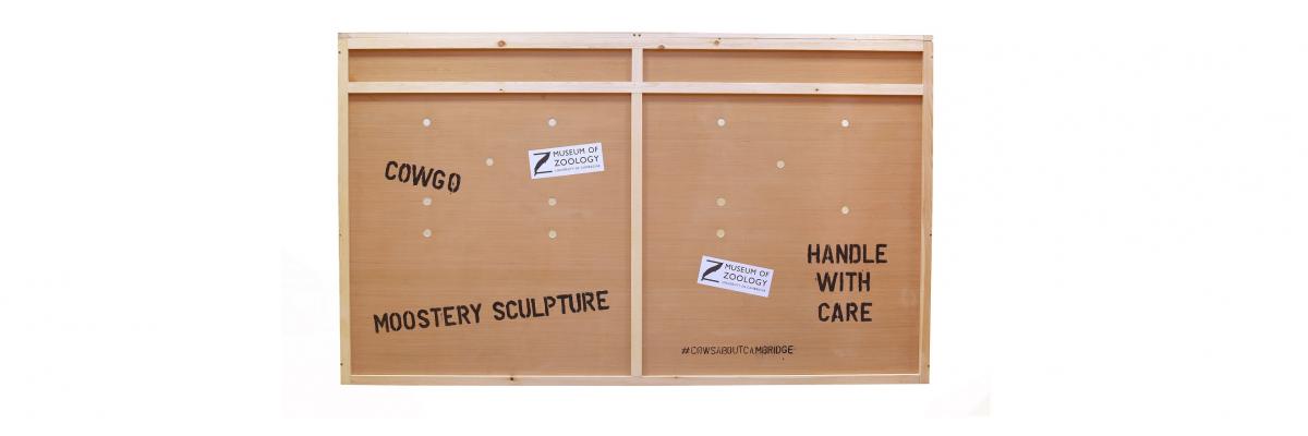 Moostery sculpture cargo box