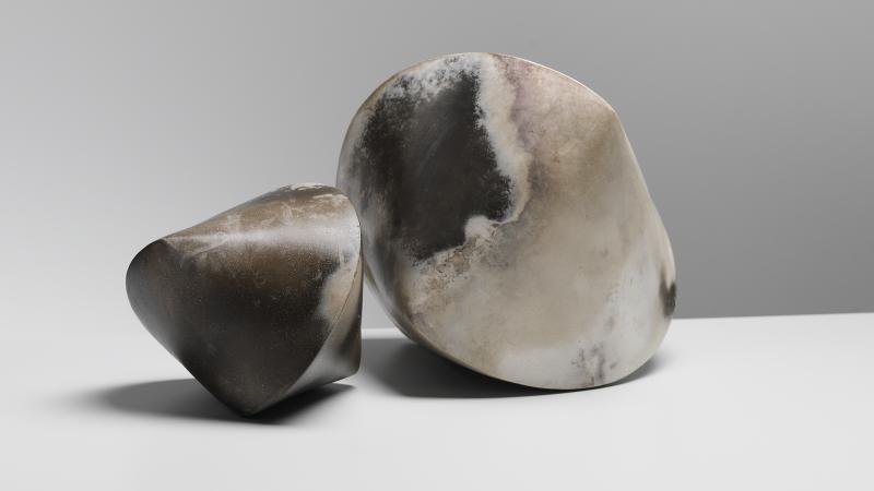 Janus Forms Janus Forms