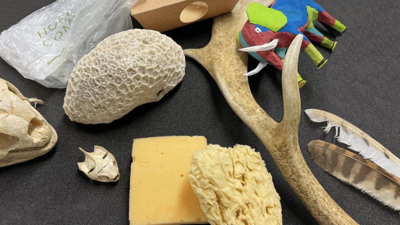 Natural and man-made items on a black table