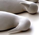 White clay bird laying down in a row. Red List by Jayne Ivimey