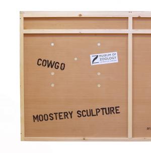 Moostery sculpture cargo box