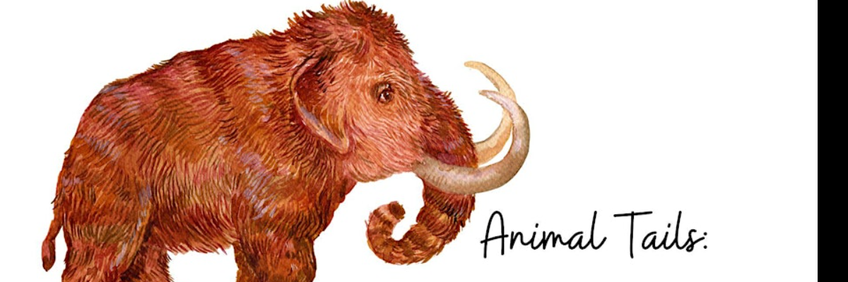 Image of mammoth