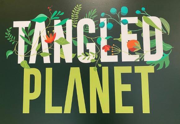 Tangled Planet signage