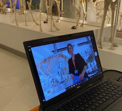 laptop with screen showing teacher in the museum